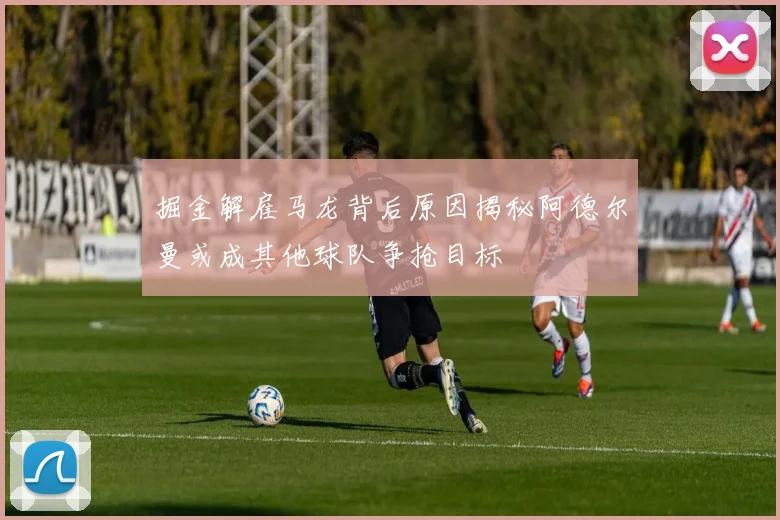 掘金解雇马龙背后原因揭秘阿德尔曼或成其他球队争抢目标