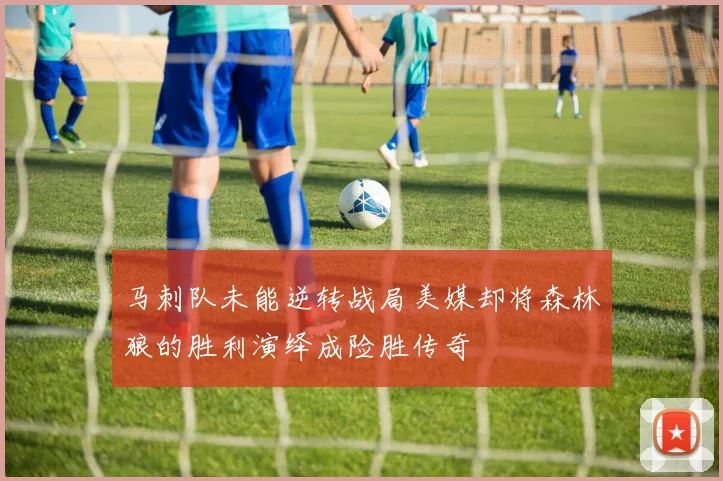 马刺队未能逆转战局美媒却将森林狼的胜利演绎成险胜传奇
