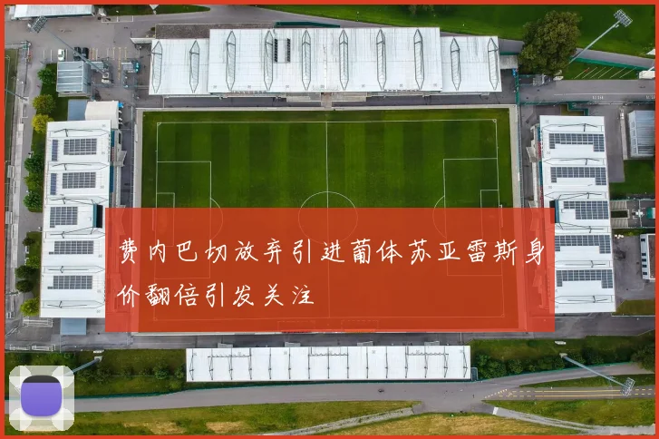 费内巴切放弃引进葡体苏亚雷斯身价翻倍引发关注